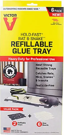 2Pk Rat Glue Trap 1