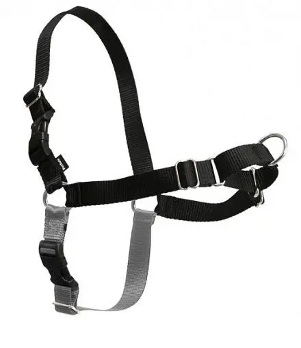 Petsafe Easy Walk Black & Silver Dog Harness 1