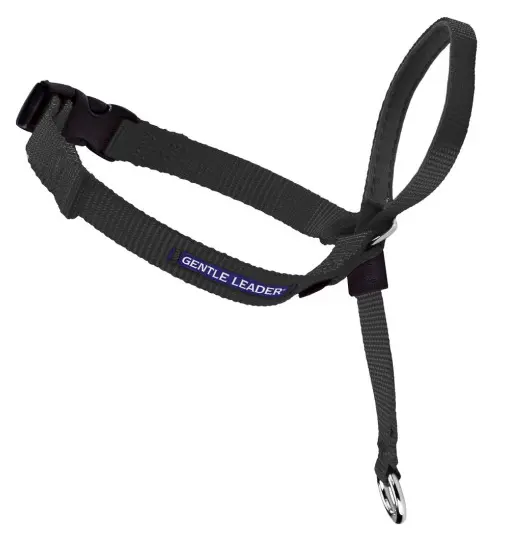 Petsafe Gentle Leader Quick Release Black Headcollar For Dogs 1