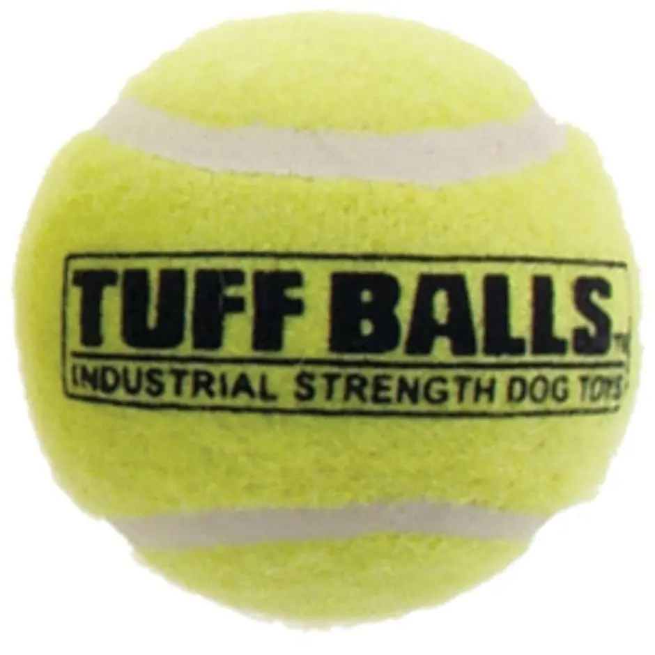 Petsport Tuff Balls 1