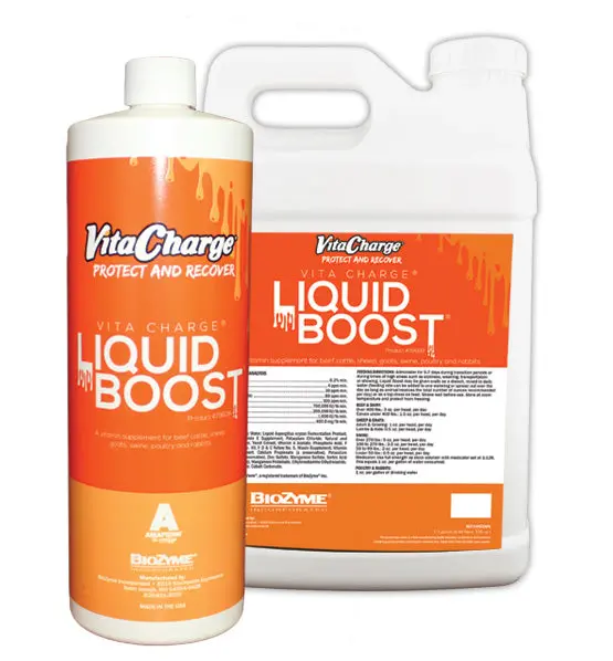 Biozyme Vita Charge Liquid Boost 1