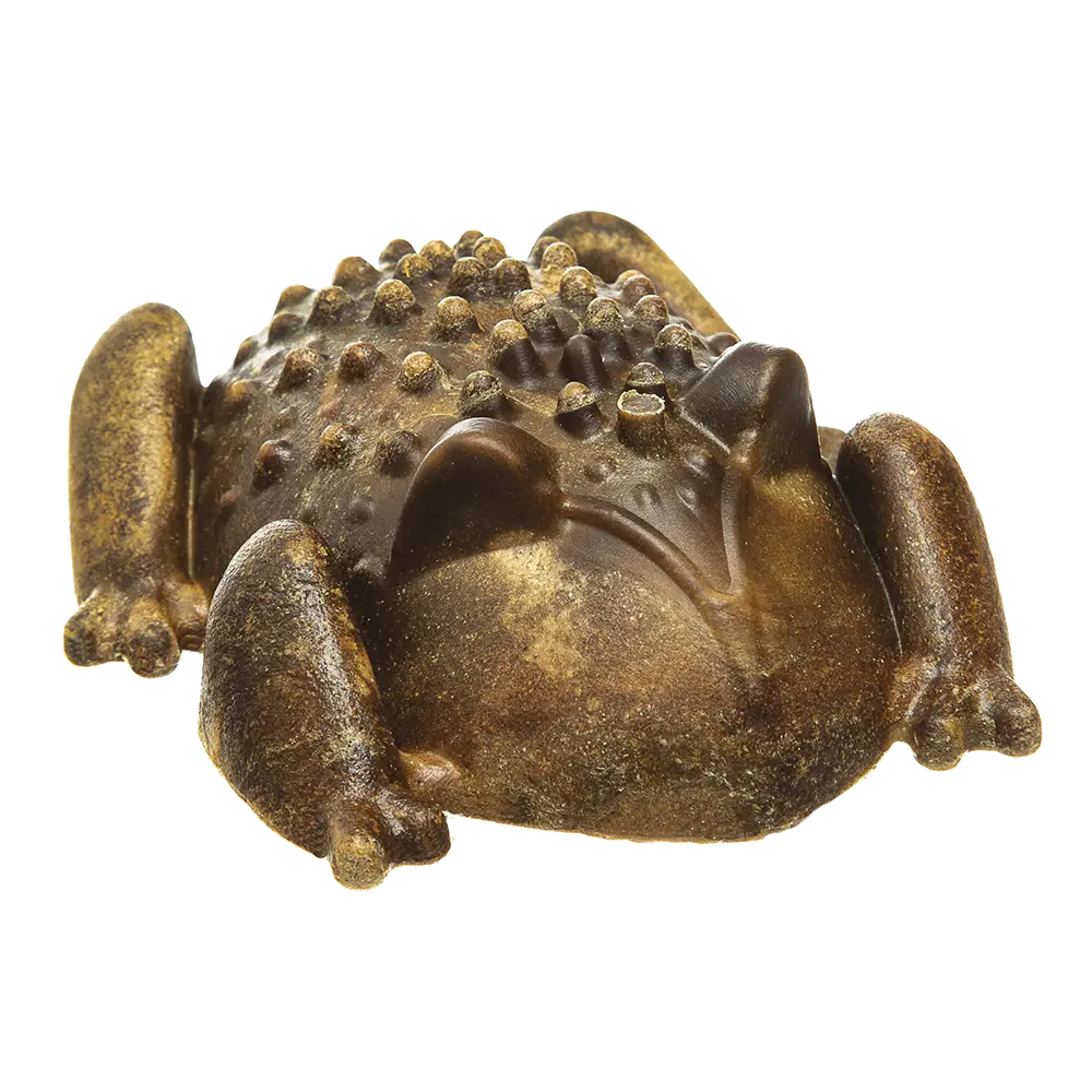Redbarn Chew-A-Bulls® Horned Toad 1