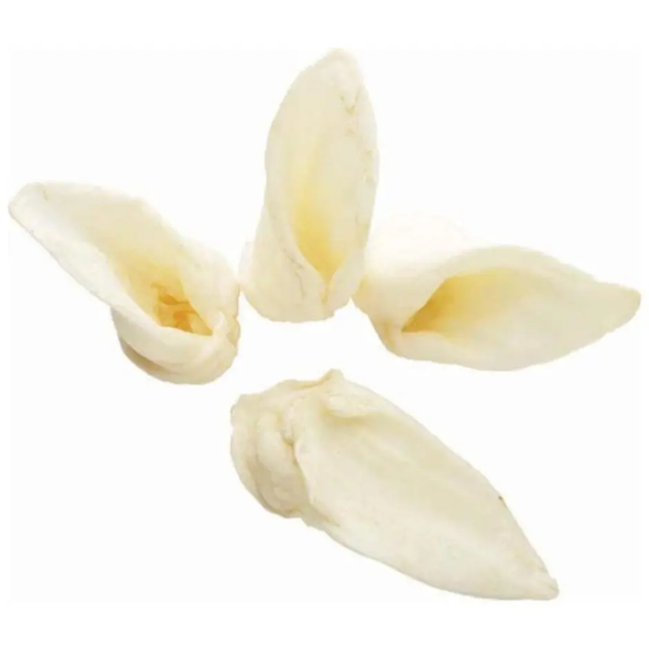 Redbarn Lamb Ear Single Ingredient Chew 1
