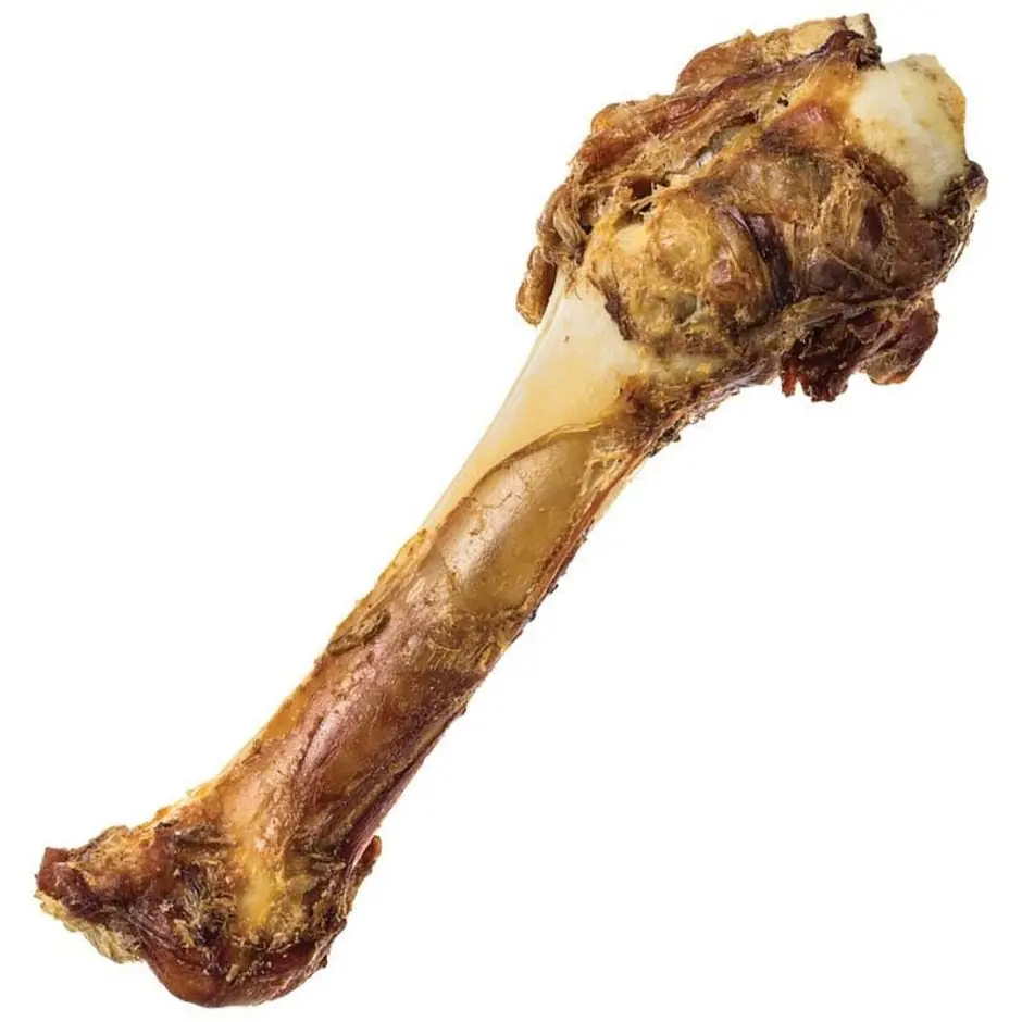 Redbarn Natural Shank Bone 1