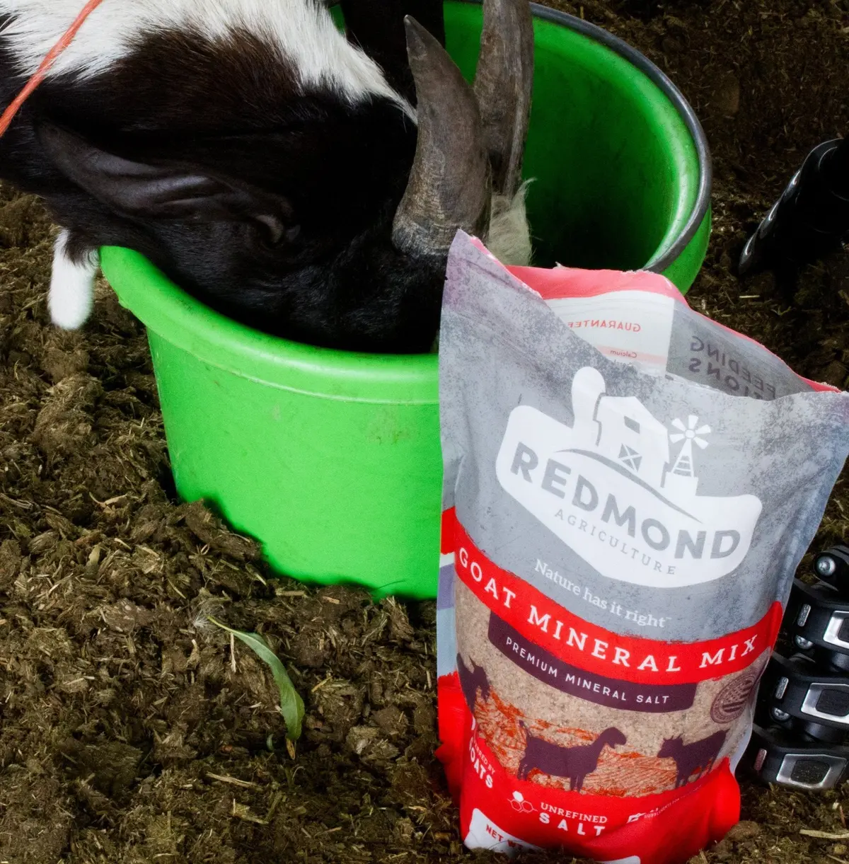 Redmond Goat Mineral 1