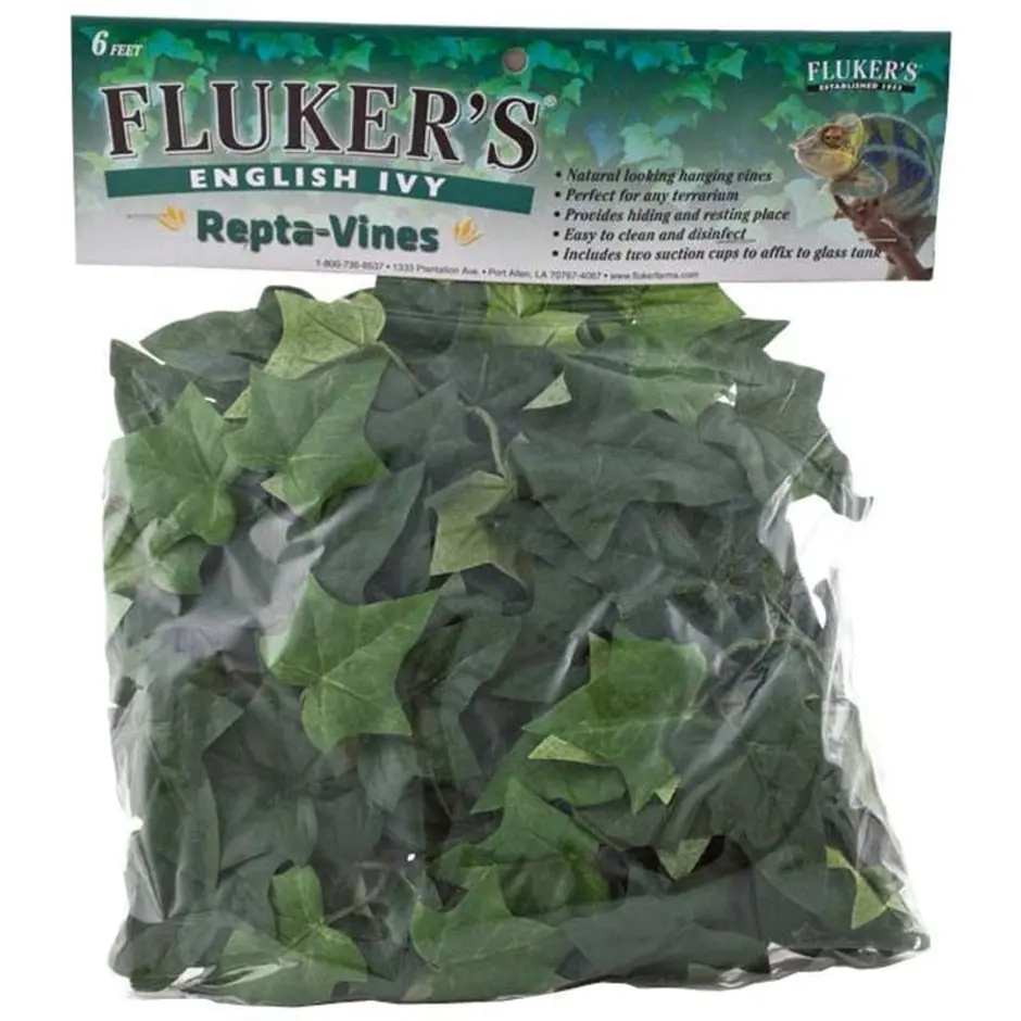 Fluker's English Ivy Repta-Vines 1
