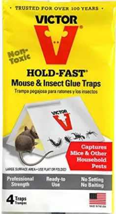Trap Glue Mouse Twin Pk 1
