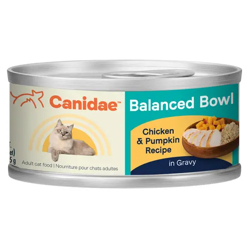 Canidae® Balanced Bowl Chicken & Pumpkin Recipe Wet Cat Food 1