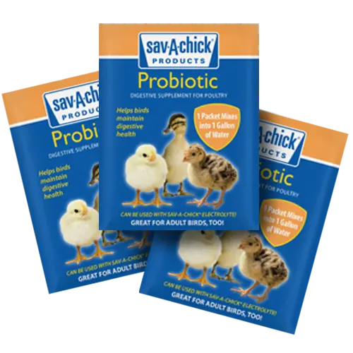 Sav-A-Chick® Probiotic Supplement 1