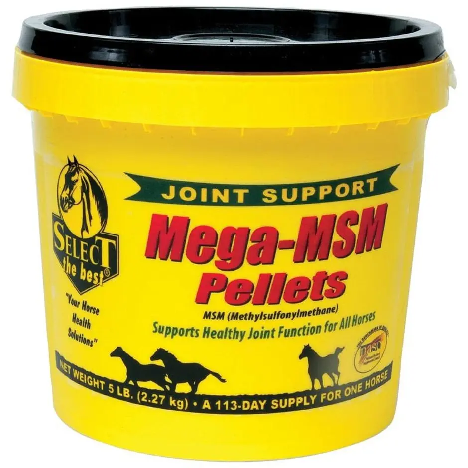Select The Best Mega-Msm Pellets Joint Support 1