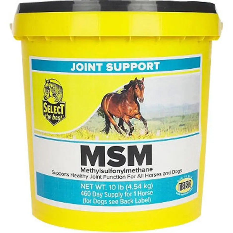 Select The Best Msm Joint Support Supplement 1