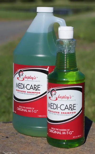 Shapley's Medi-Care Rx Medicated Shampoo 1