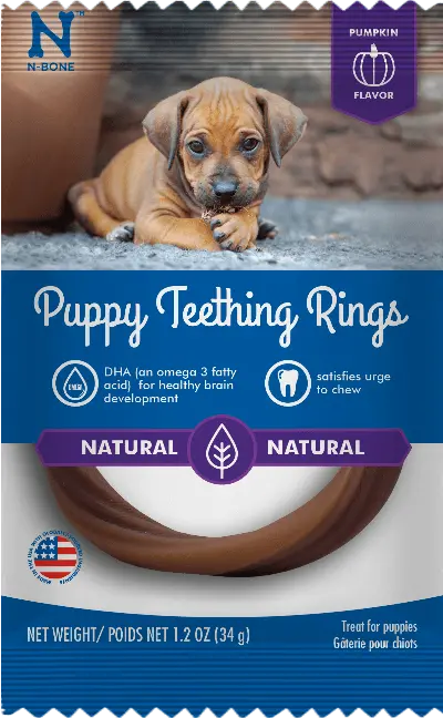 N-Bone® Puppy Teething Rings Pumpkin Flavor 1