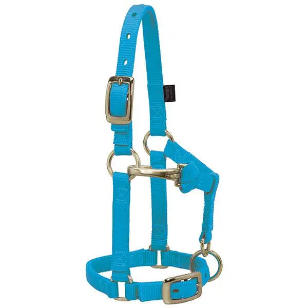 Weaver Leather Miniature Horse Adjustable Chin & Throat Snap Halter 1