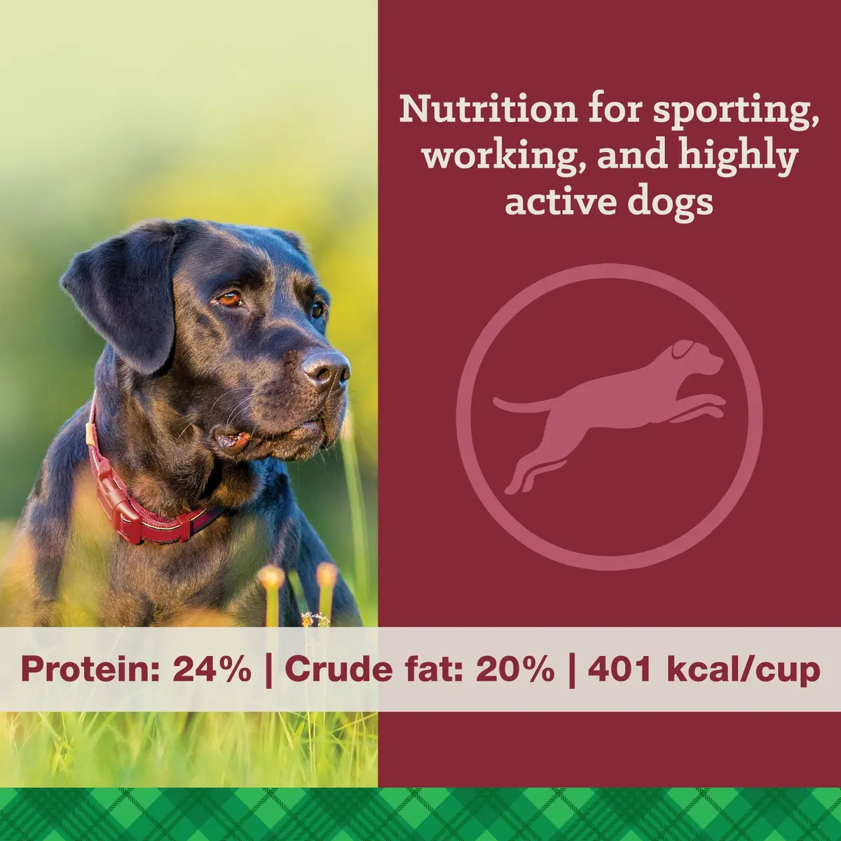 Nutrena® True High Energy 24/20 Dog Food 2