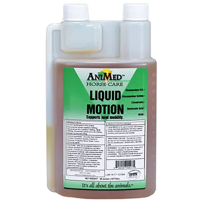 Animed Liquid Motion 1