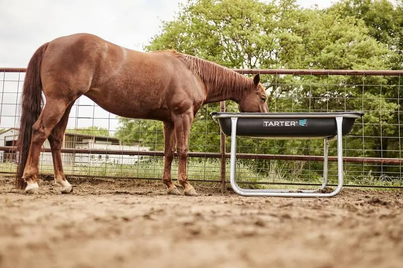 Tarter Equine Pro Bunk Feeder 1