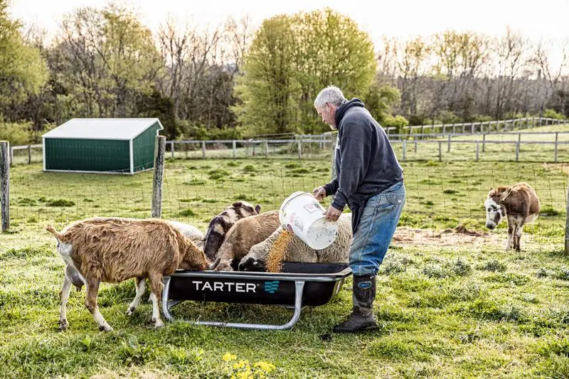 Tarter Goat Bunk Feeder 5' 1