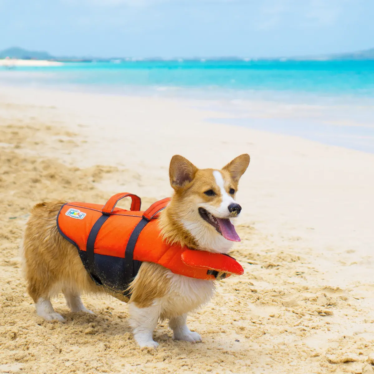 Outward Hound Granby Splash Dog Life Jacket 1
