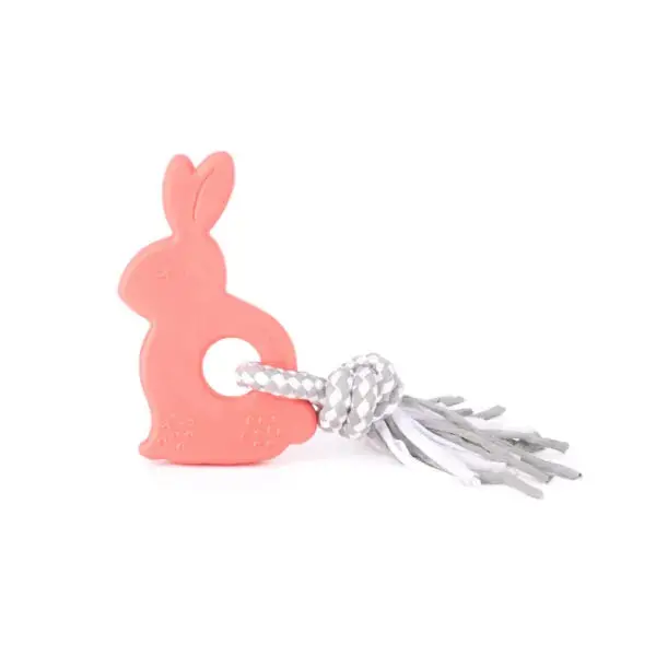 Zippypaws Zippytuff Teetherz - Bonnie The Bunny 1