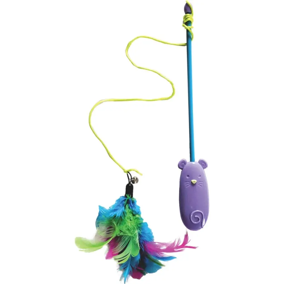 Spot Laser & Feather Wand 1