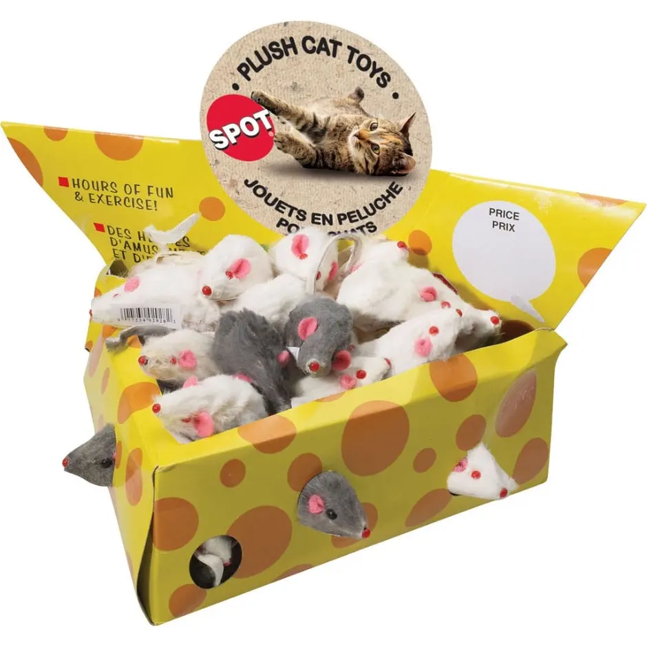 Spot Mice Cheesebox Display 1