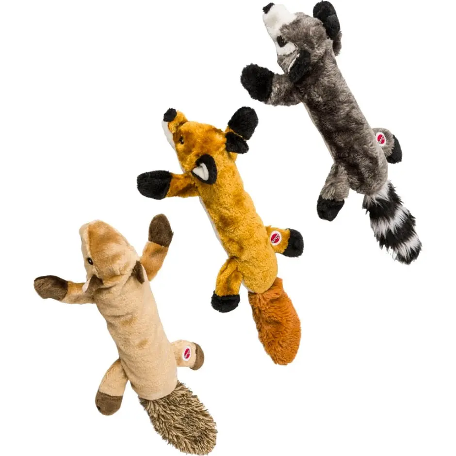 Spot Sir-Squeaks-A-Lot 1