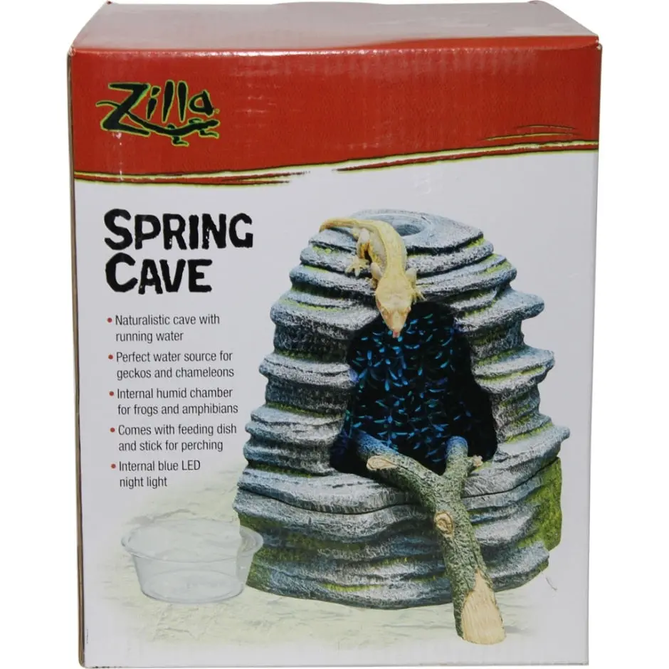 Zilla Spring Cave 1