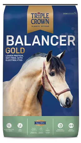 Triple Crown Balancer Gold 1