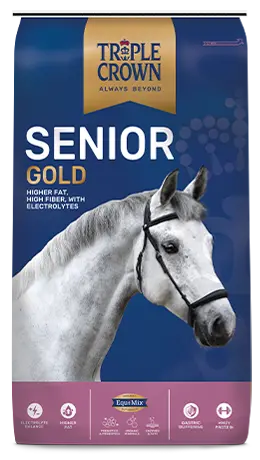 Triple Crown Senior Gold 1