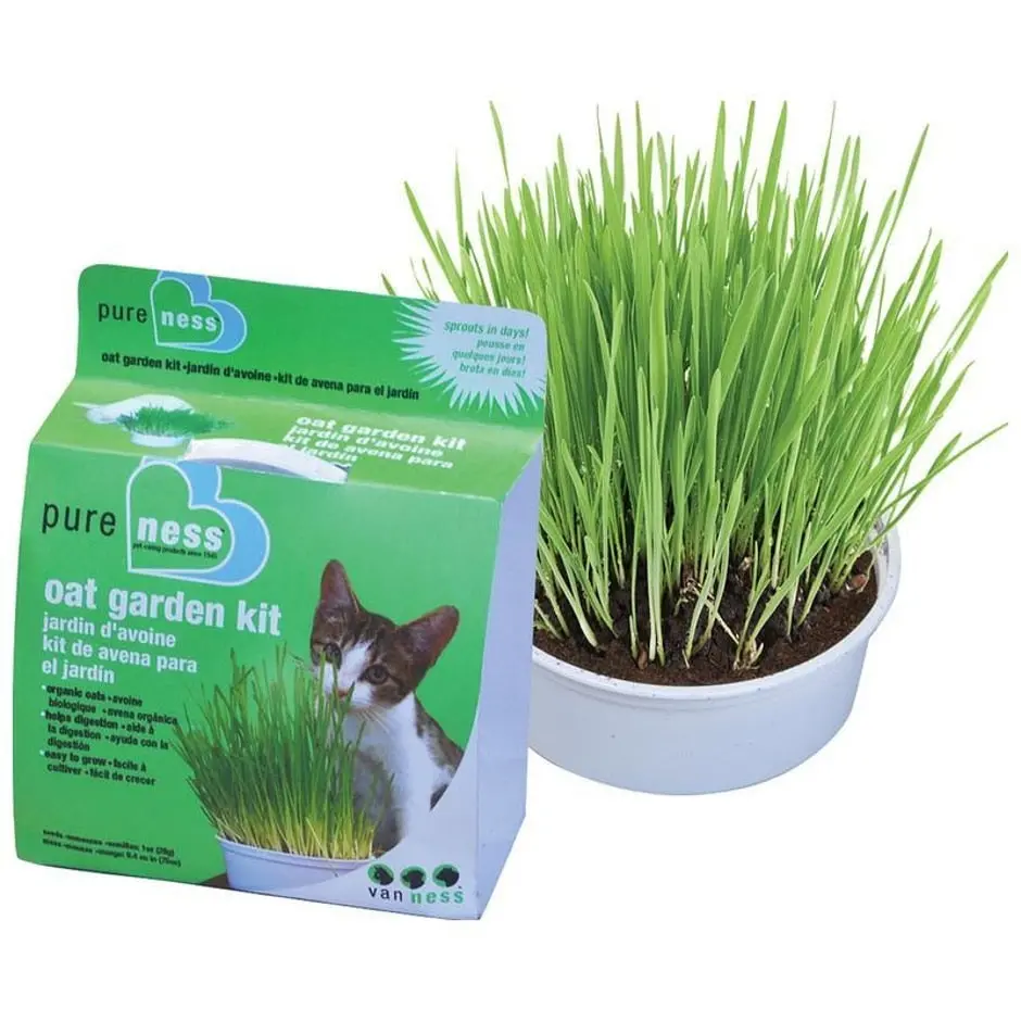 Van Ness Oat Garden Kit 1