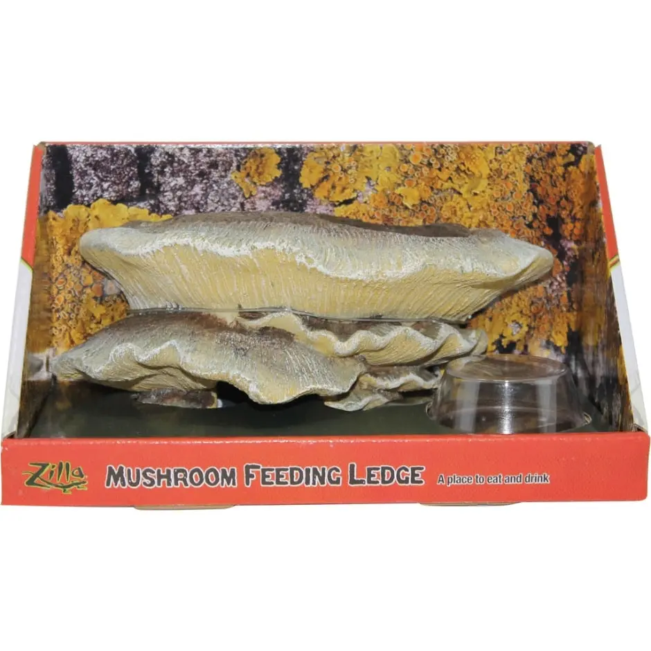 Zilla Vertical Mushroom Feeding Ledge 1