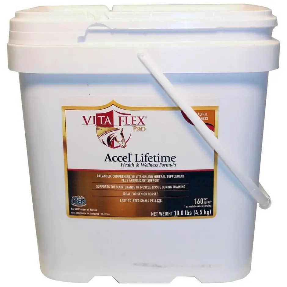 Vita Flex Accel Lifetime Health And Wellness Pro 80 Day 1