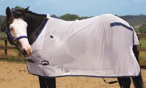 Weaver Mesh Fly Sheet 1