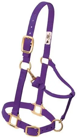 Weaver Original Adjustable Chin And Throat Snap Halter, 3/4" Arabian/Cob 1