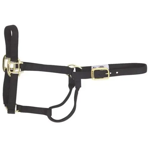 Weaver Original Non-Adjustable Halter , 3/4" Weanling/Pony 1