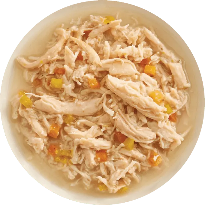 Rawz Aujou Chicken Breast & Pumpkin Recipe Wet Dog Food 1