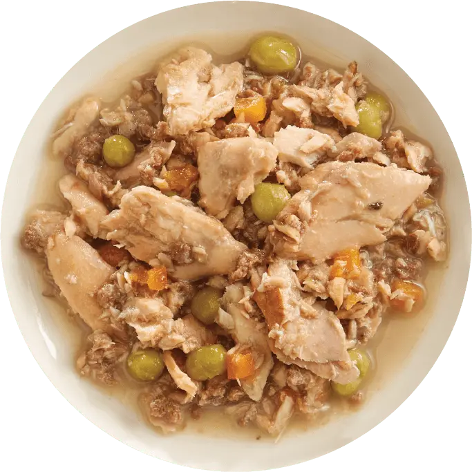 Rawz Aujou Salmon, Beef & Aku Tuna Recipe Wet Dog Food 1