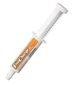 Biozyme Vita Charge® Gel 1