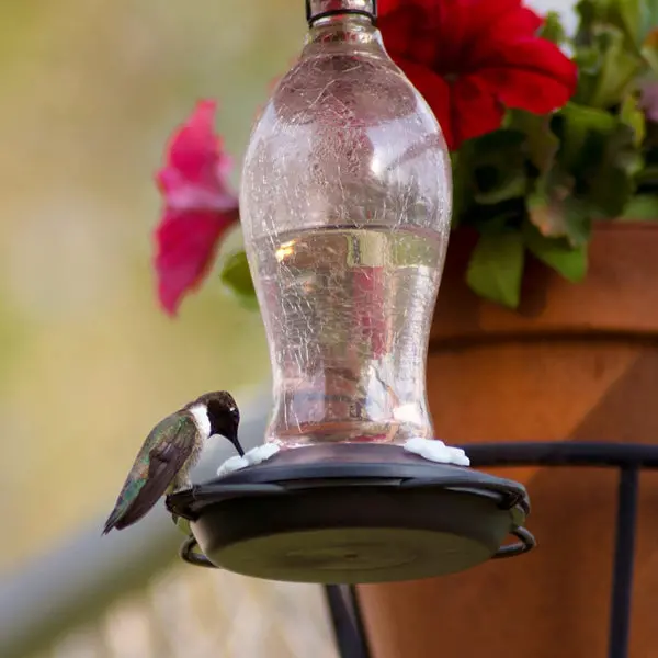 Nature's Way Artisan Gravity Hummingbird Feeder - Blush Crackle 2