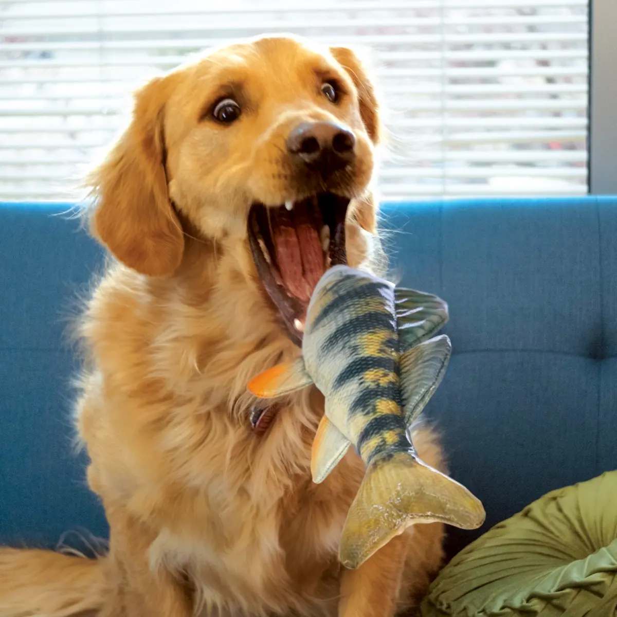 Kong Shieldz Wildz Fish Dog Toys 1
