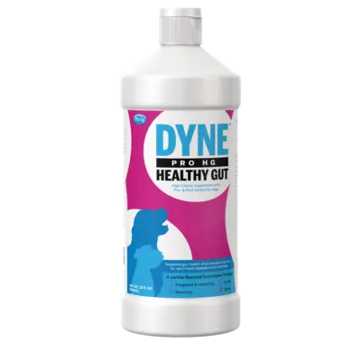 Petag Dyne™ Pro Hg Healthy Gut For Dogs 1