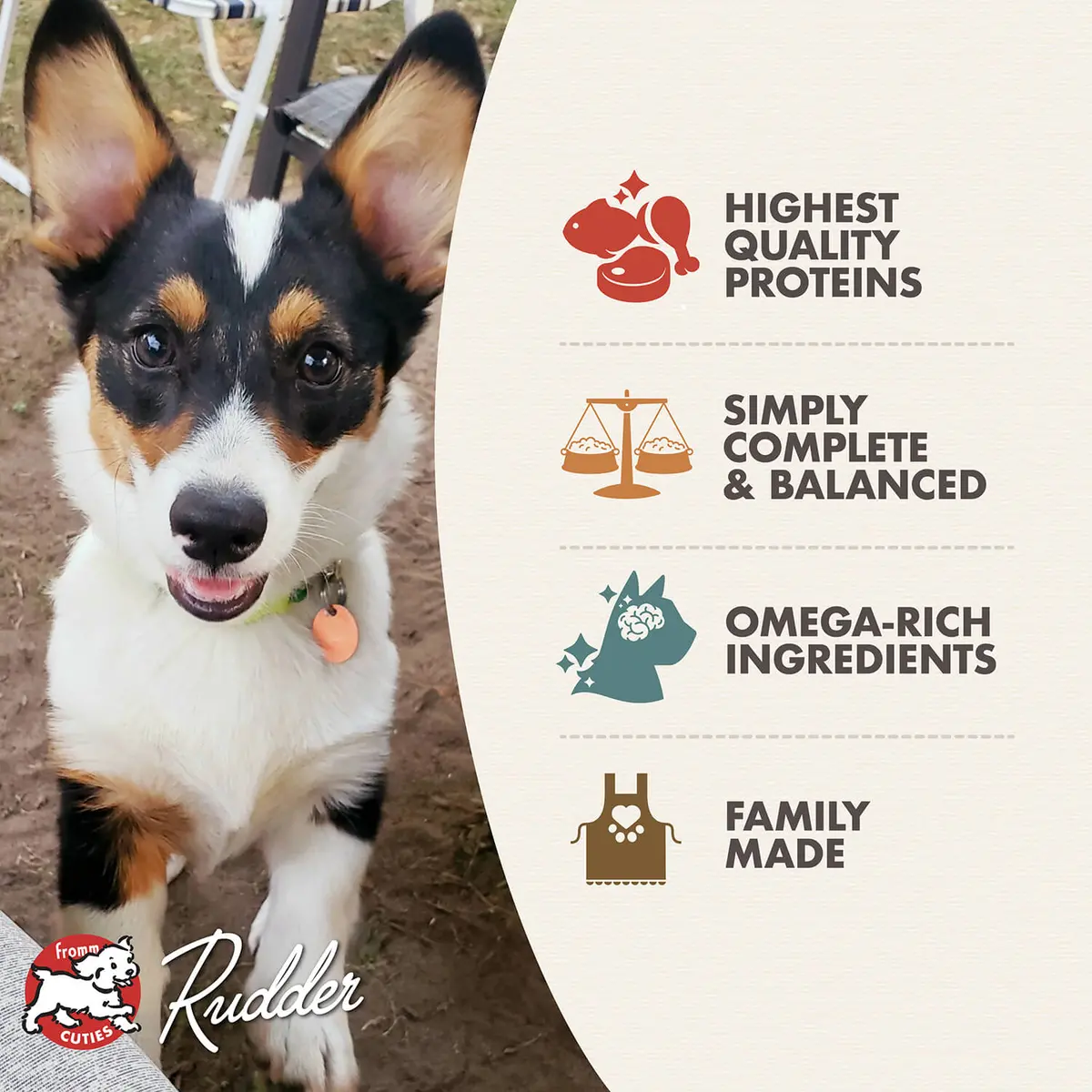 Fromm Puppy Chicken & Salmon Pâté 2