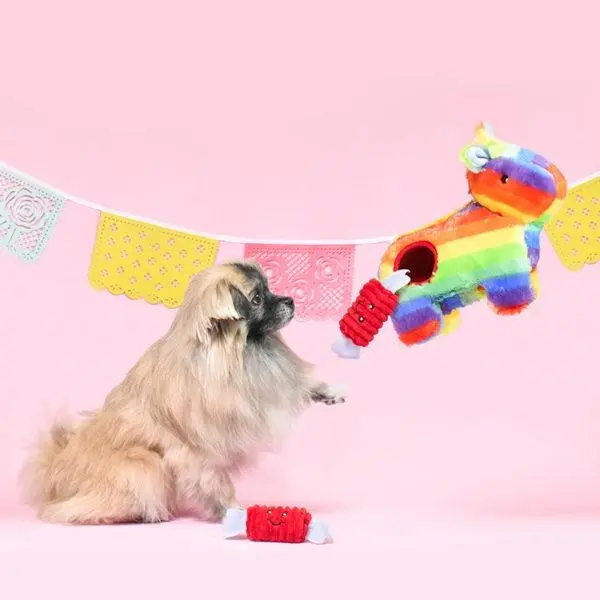 Zippypaws Zippy Burrow Pinata Puzzle Dog Toy 2