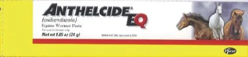 Zoetis Anthelcide®Eq Paste 1