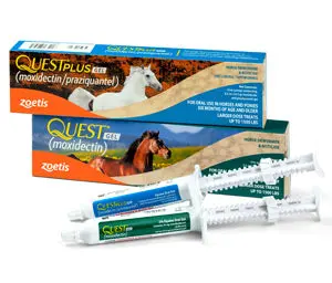 Zoetis Quest Horse Dewormer Gel 1