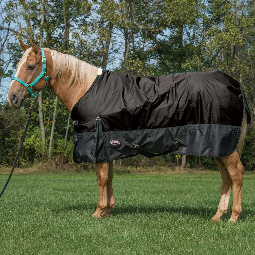 Weaver Equine Economy Turnout Blanket, 600-Denier 1