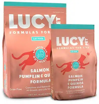 Lucy Pet Salmon, Pumpkin, And Quinoa Grain-Free Formula Dry Cat Food 1