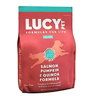 Lucy Pet Salmon, Pumpkin, And Quinoa Grain-Free Formula Dog Food 1