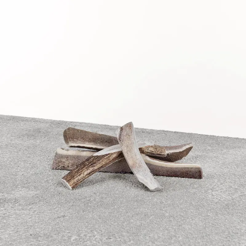 Primal Stag Antler Natural Dog Chew